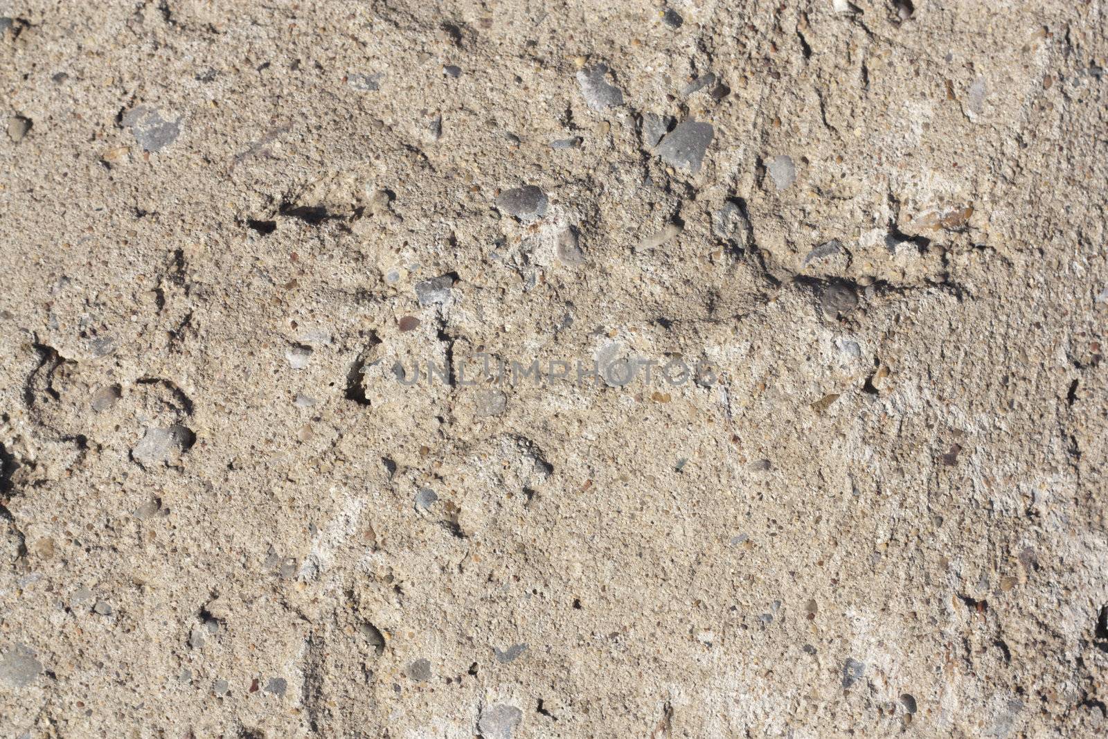 vulcanic bazalt stone texture  by schankz