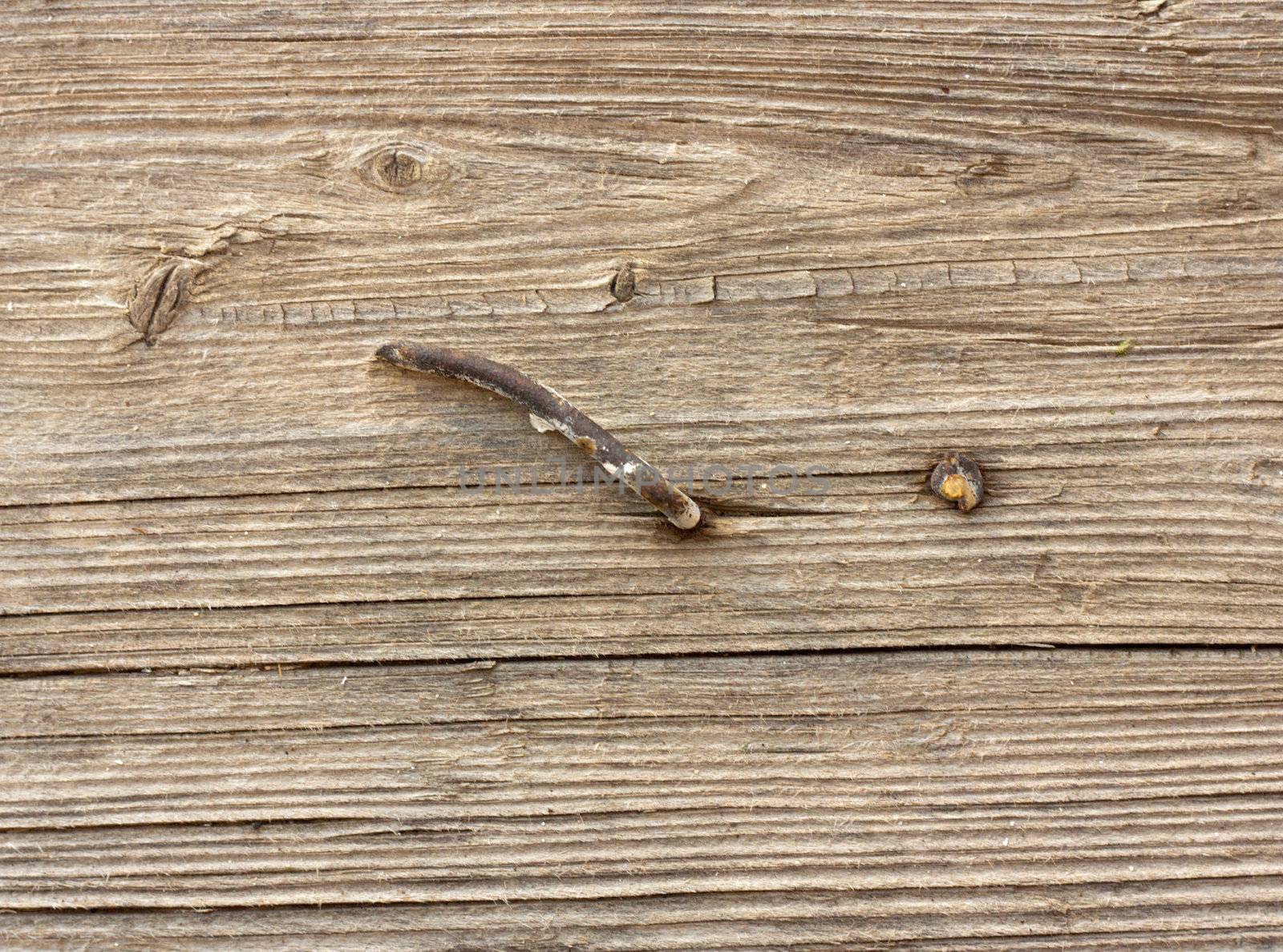 rusty nail in old wood, shallow focus  by schankz