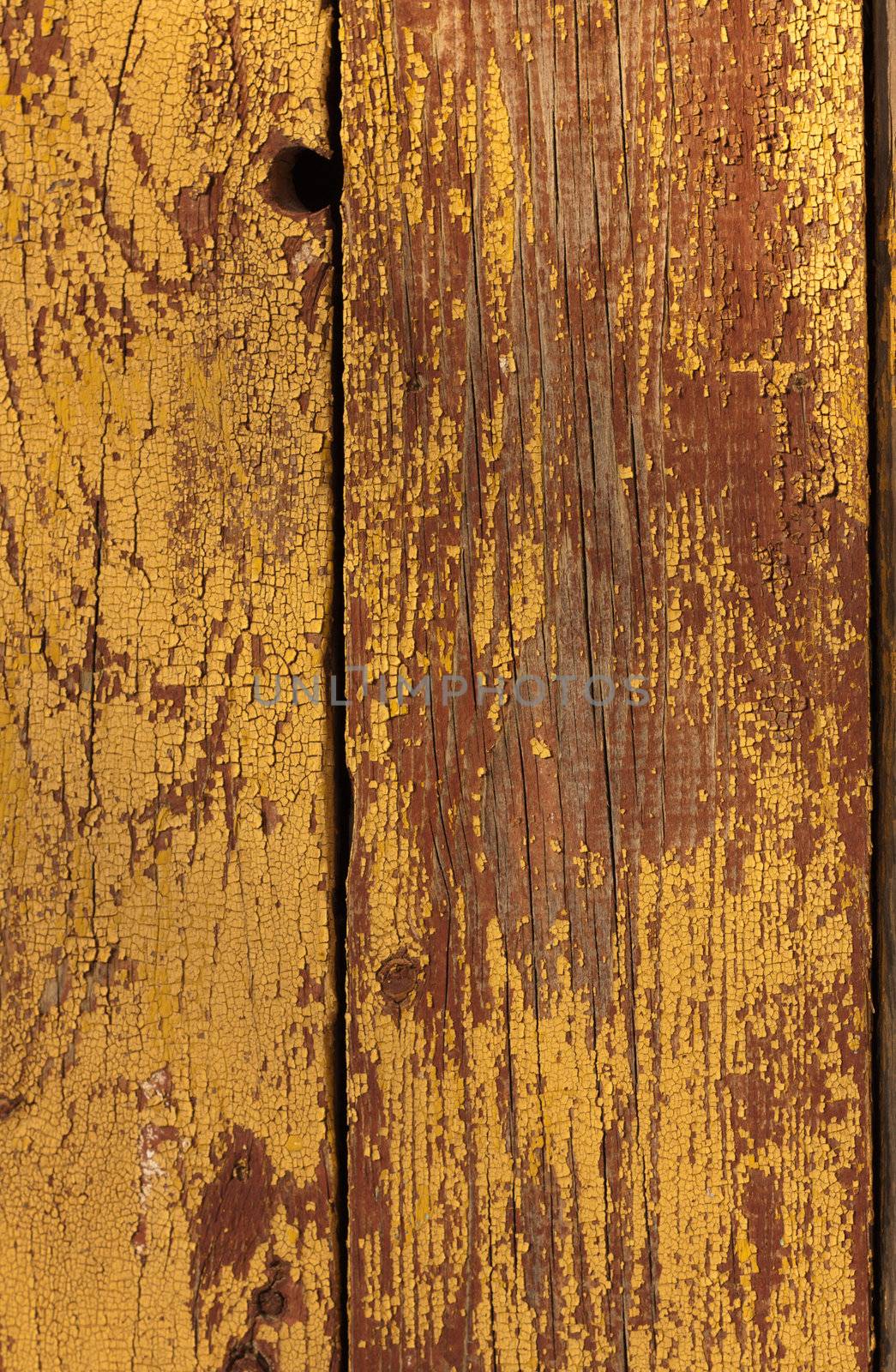 old wood texture (for background) 