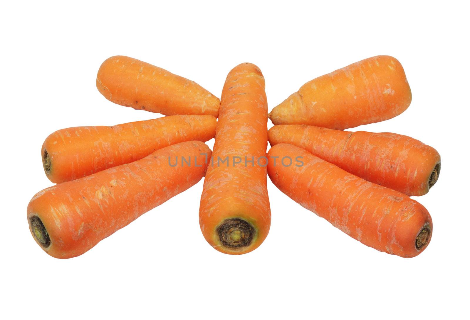 carrots on white 