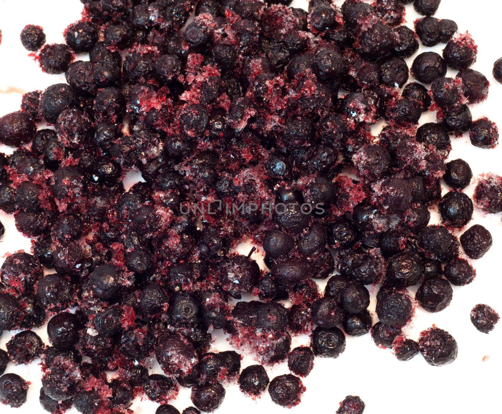 lots of frozen berries (bog whortleberry, cowberries, viburnum)  by schankz