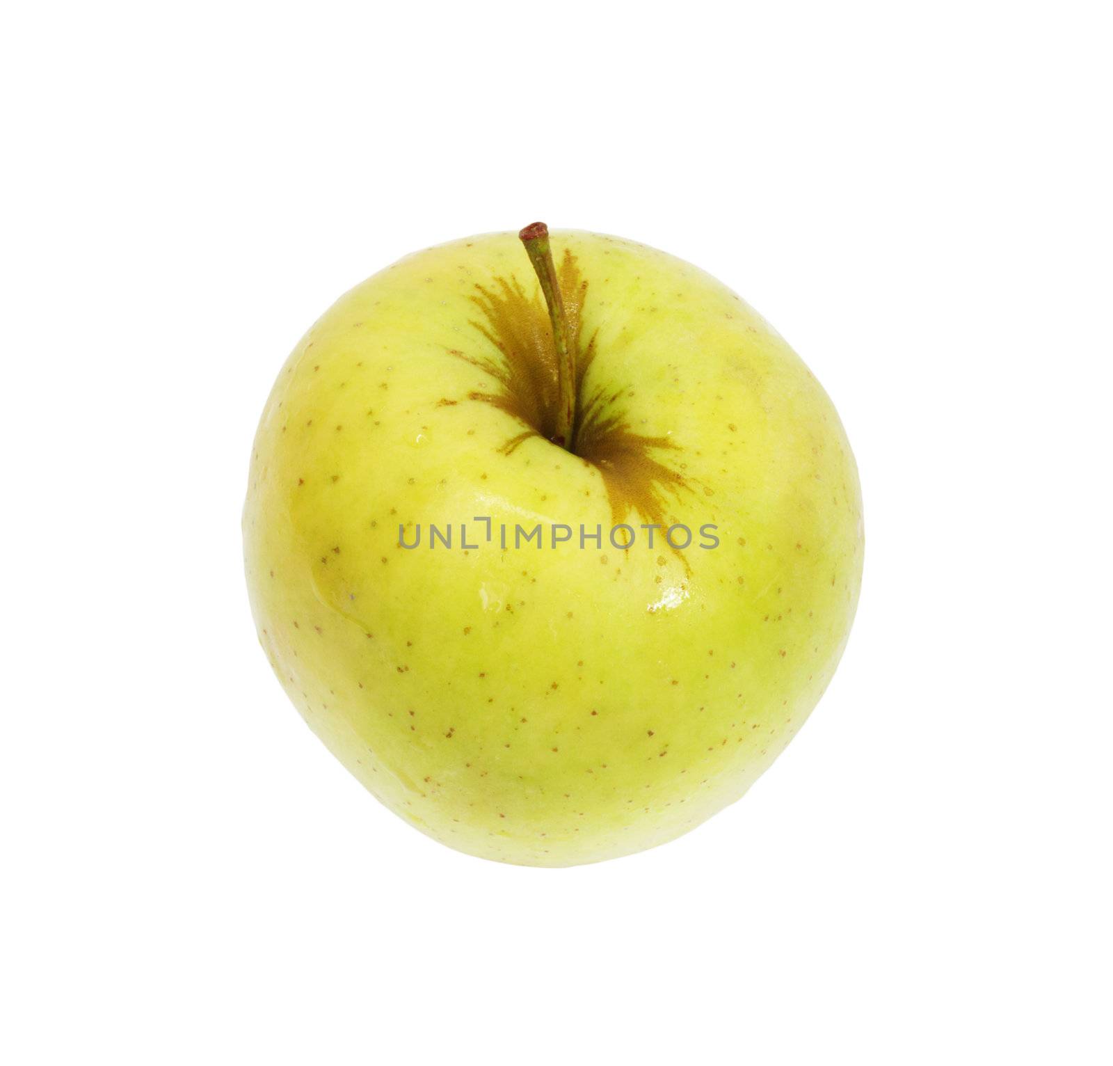 apple isolated on white  by schankz