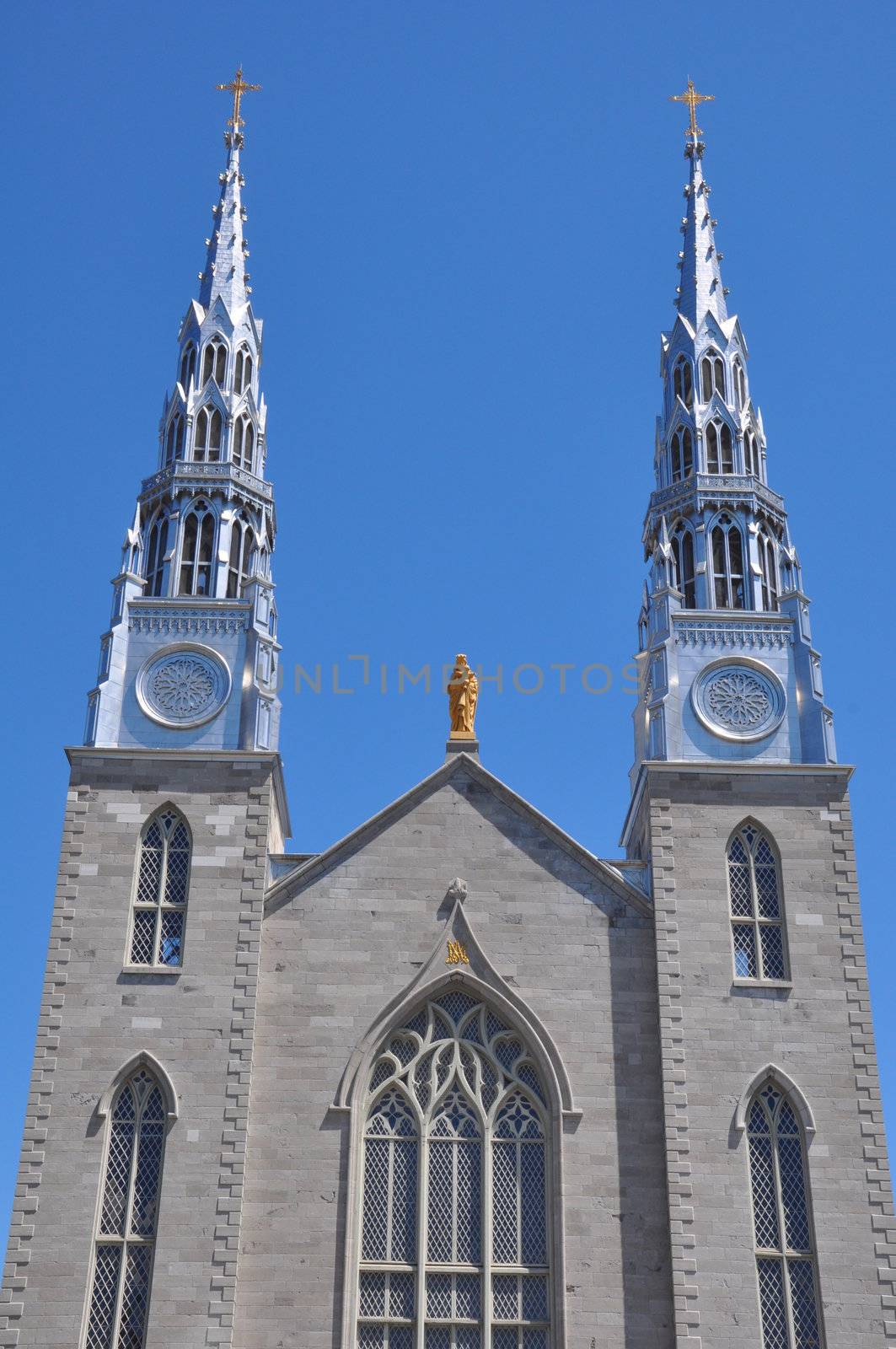 Notre Dame Cathedral in Ottawa, Canada