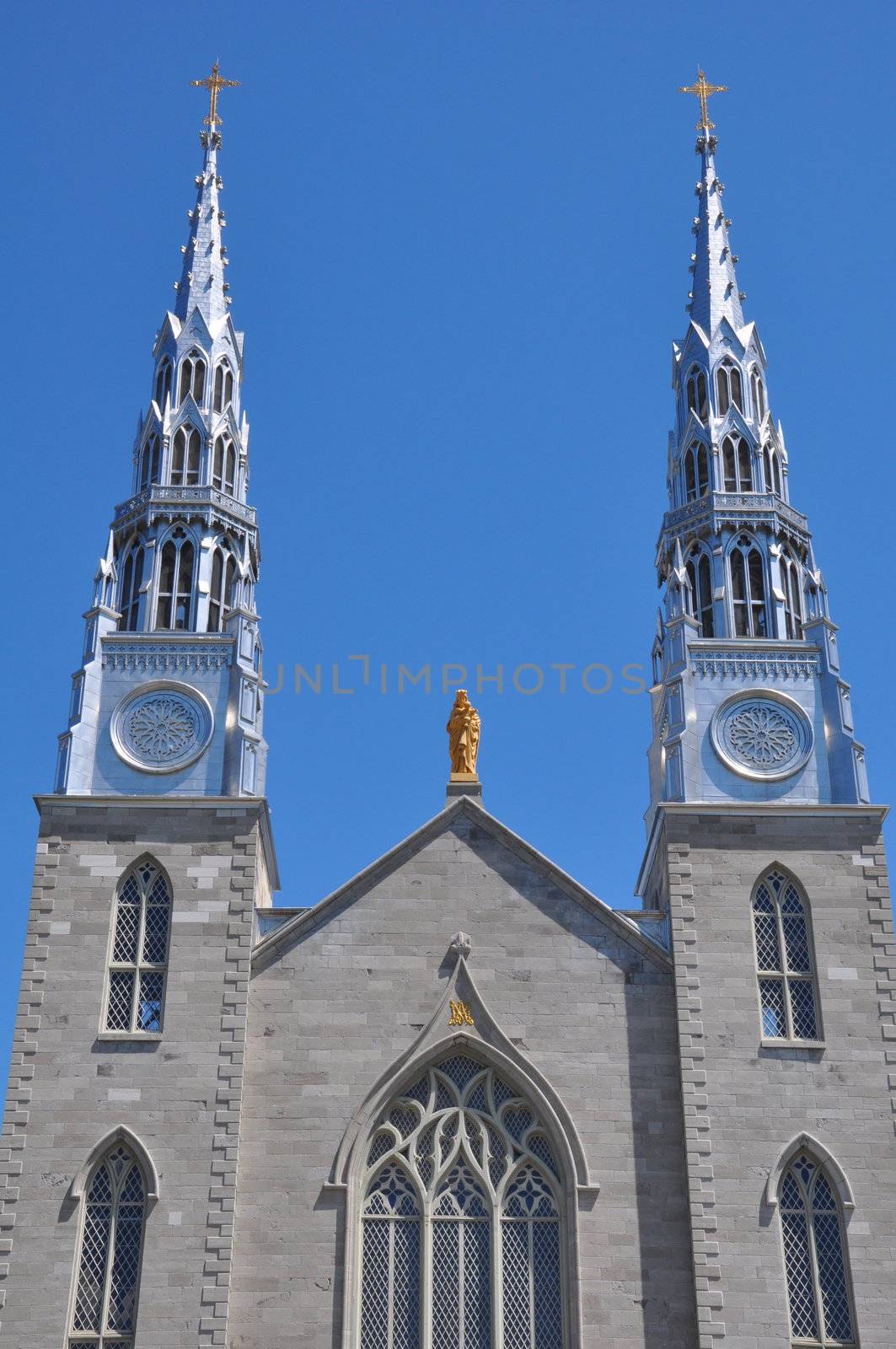 Notre Dame Cathedral in Ottawa by sainaniritu