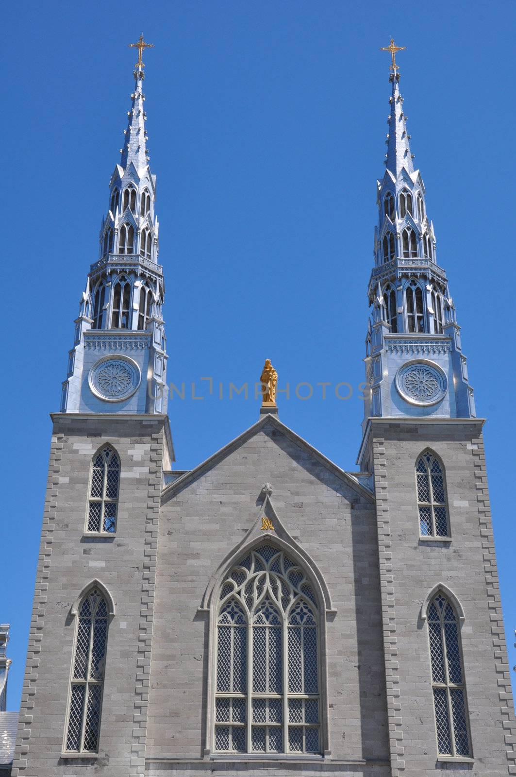 Notre Dame Cathedral in Ottawa by sainaniritu