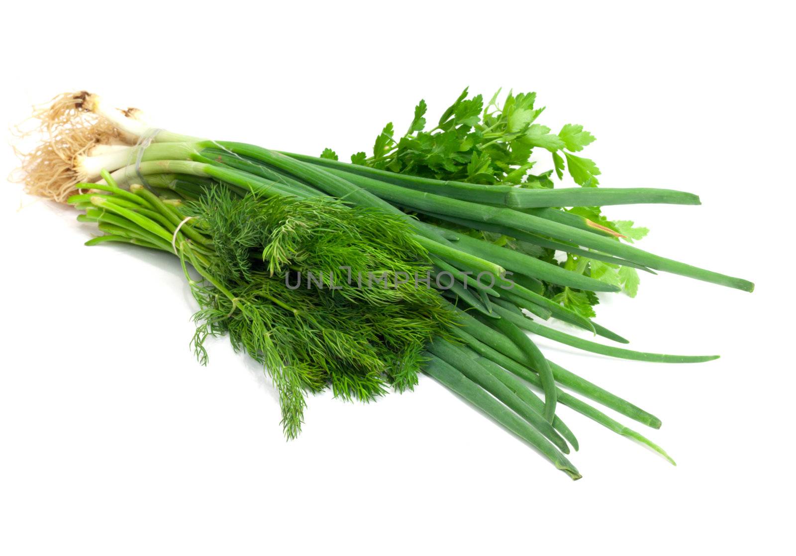 Parsley, fennel and green onions by schankz