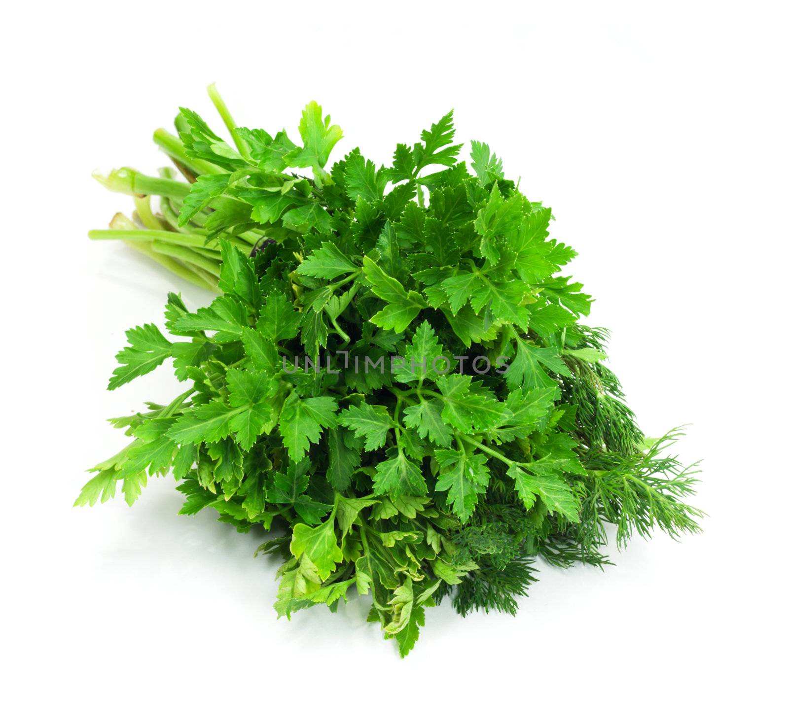 dill parsley to spices bunch isolated on white background 