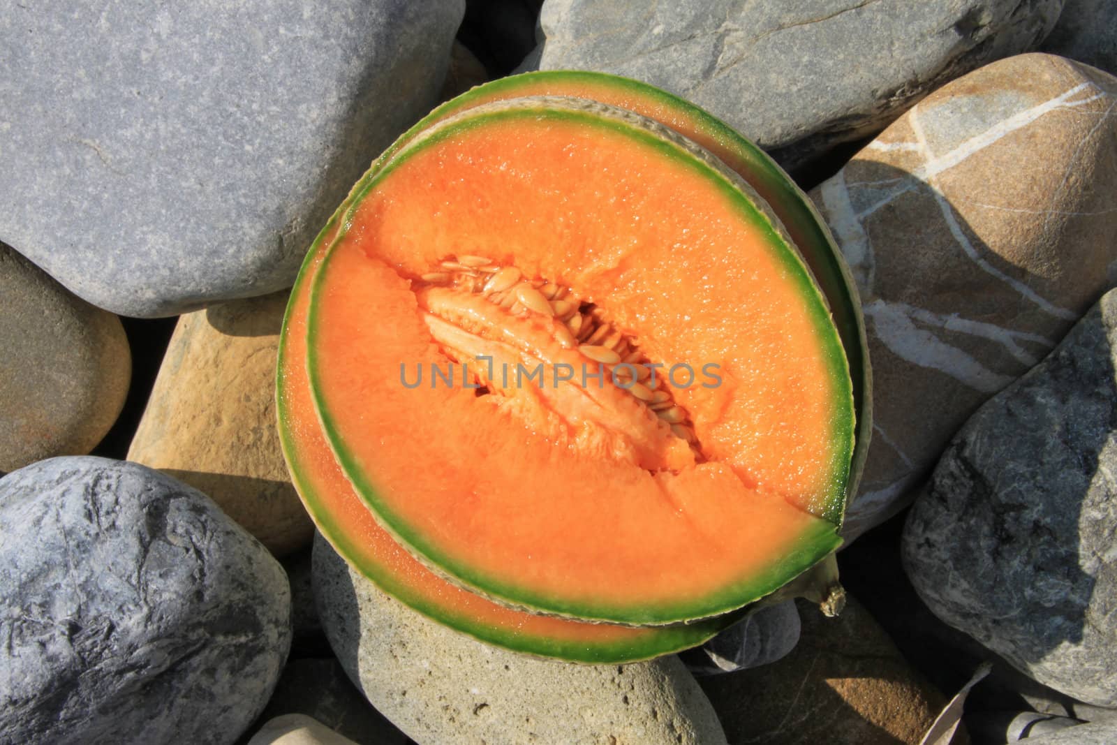 Ripe tasty juicy melon