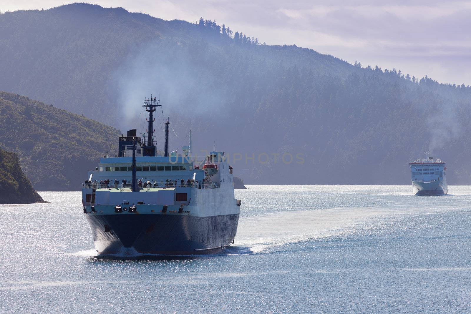 Huge car ferry ships in calm water of Marlborough Sounds  South Island  New Zealand