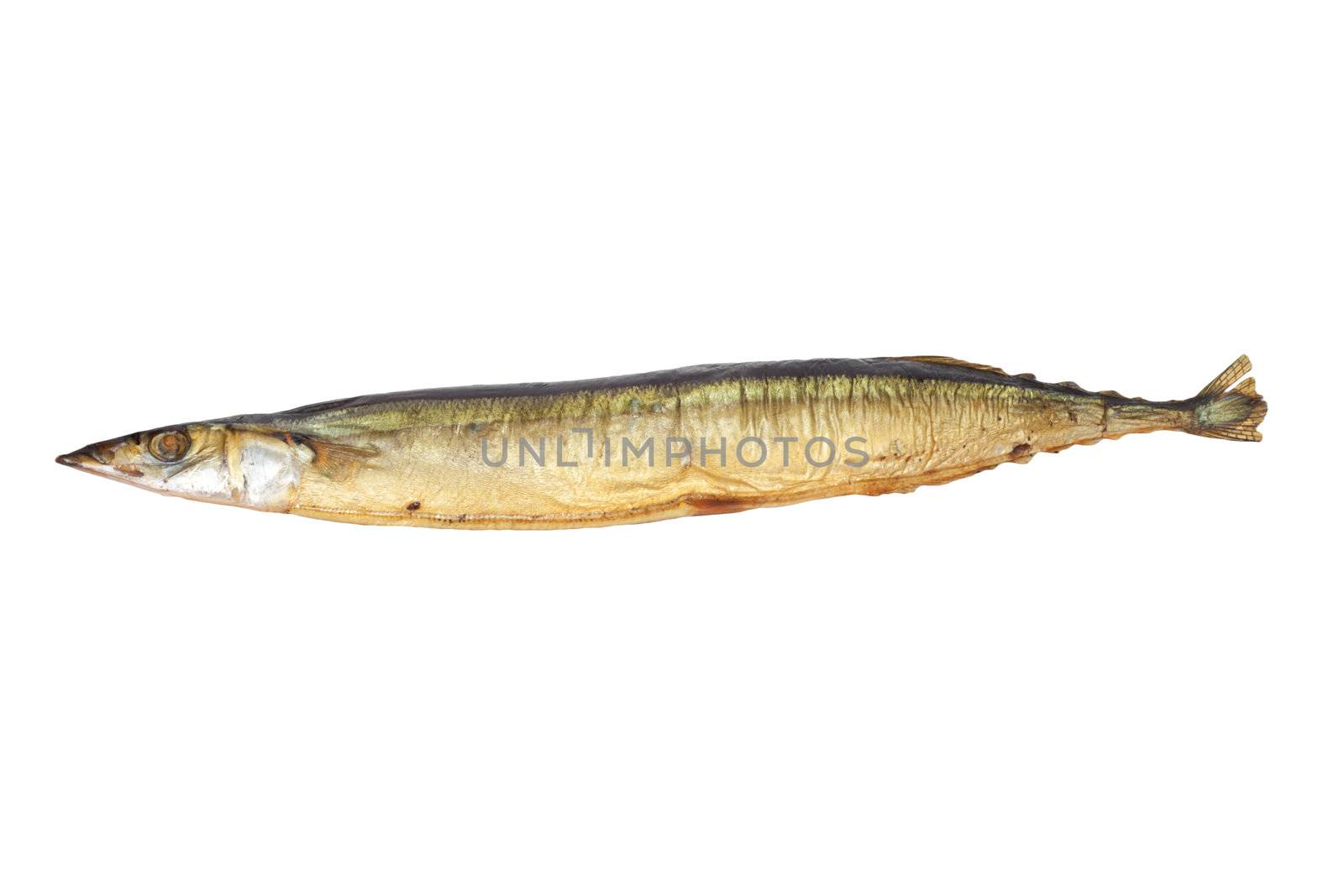 Smoked Saury on a white background by schankz