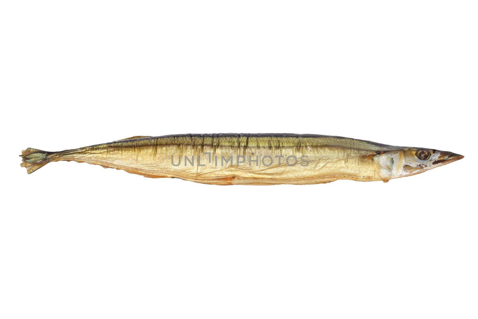 Smoked Saury on a white background