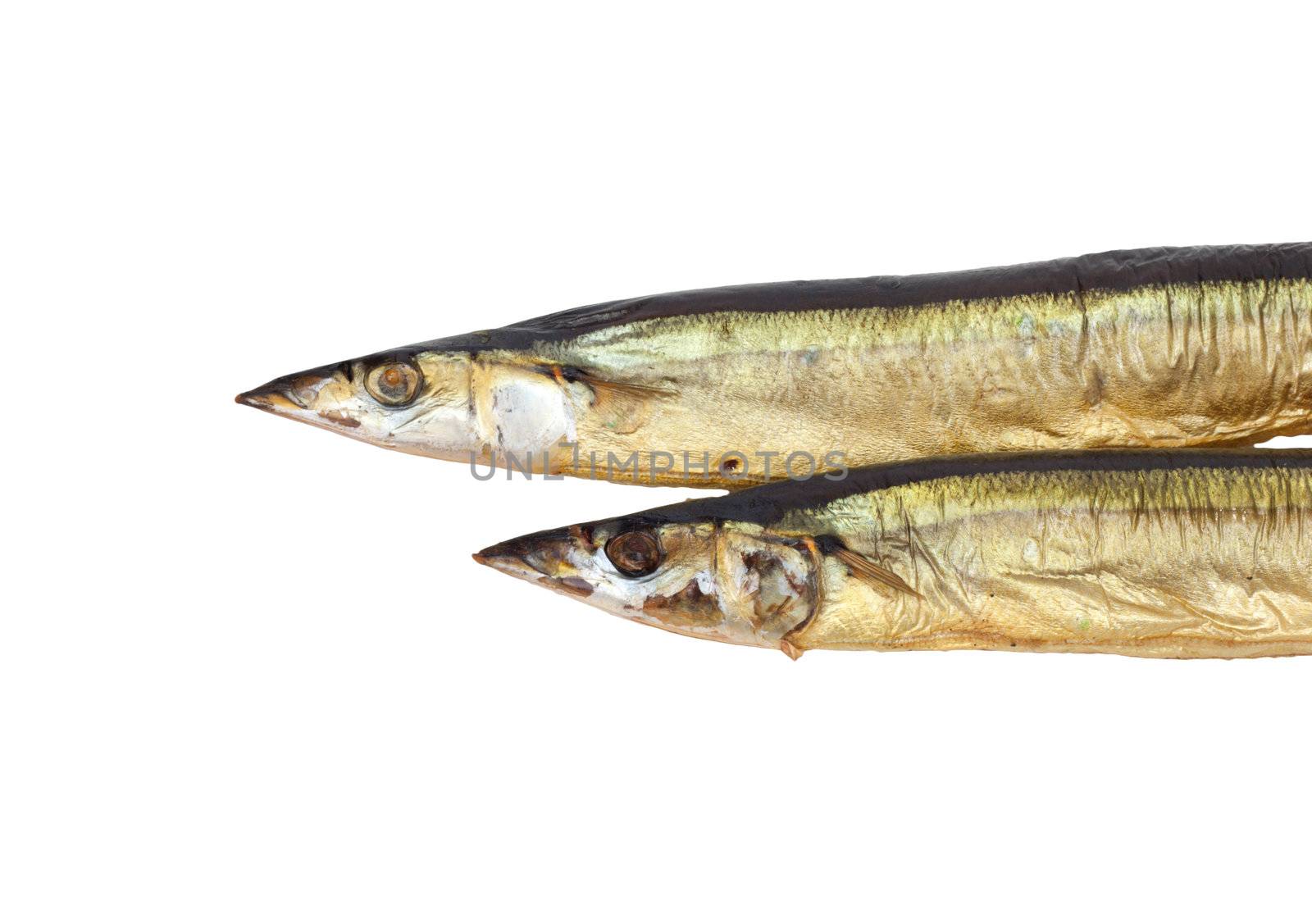 Smoked Saury on a white background