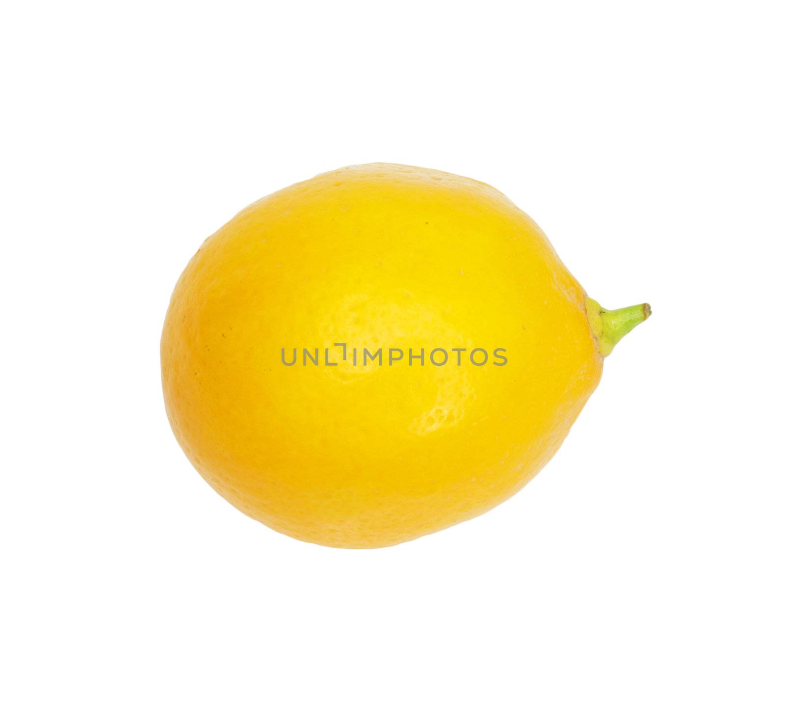 Lemon isolated on white background with copy space 