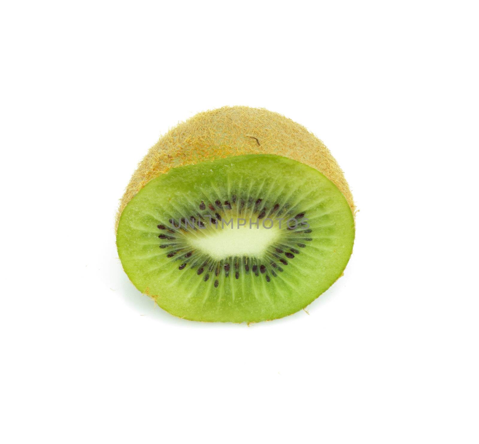 kiwi by schankz
