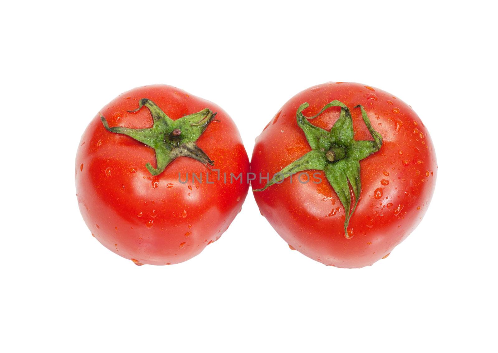 two tomato isolated on white background  by schankz