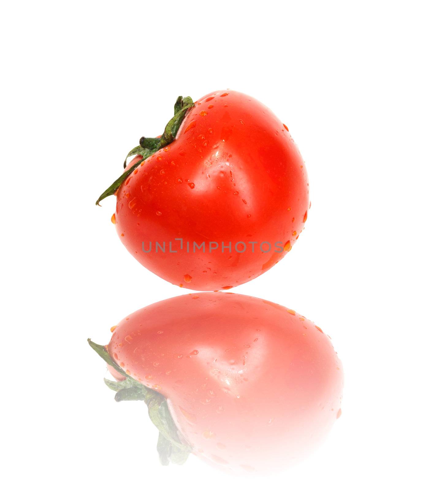 fresh tomato with shadow isolated on white  by schankz