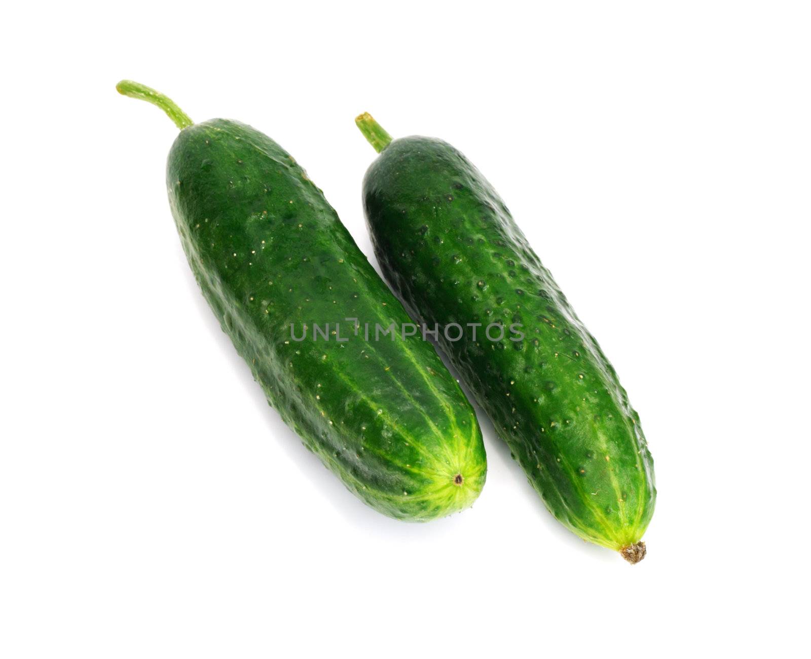 two cucumber on white background
