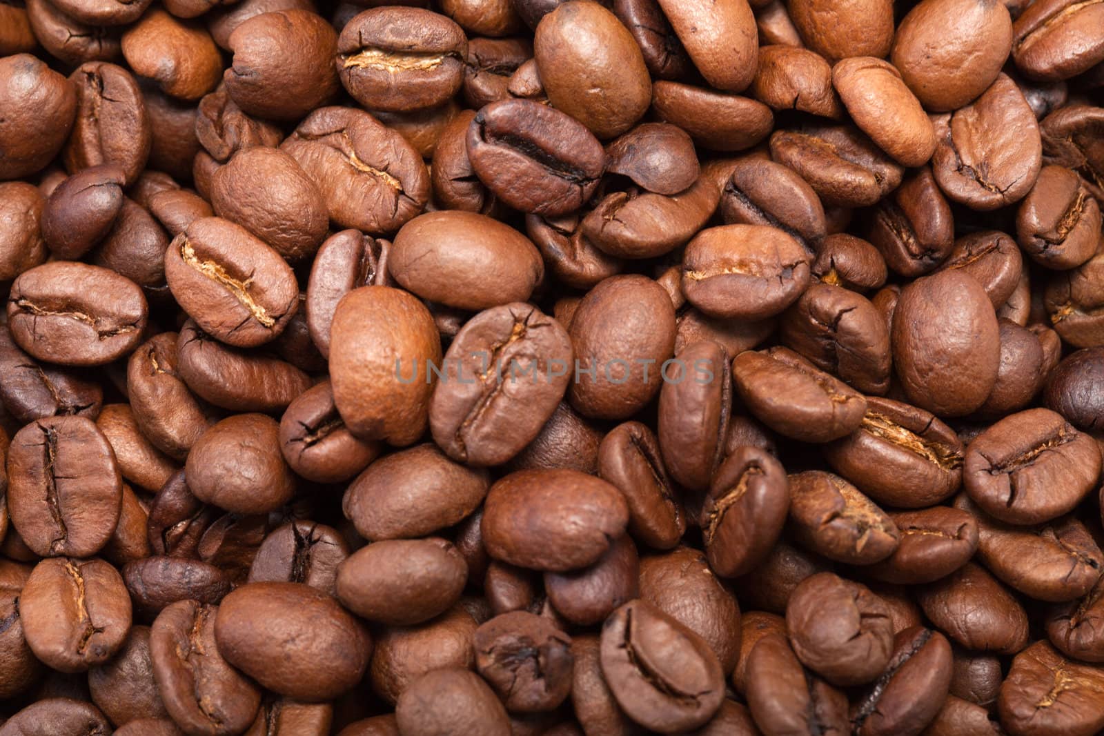 coffee beans close up isolated on white