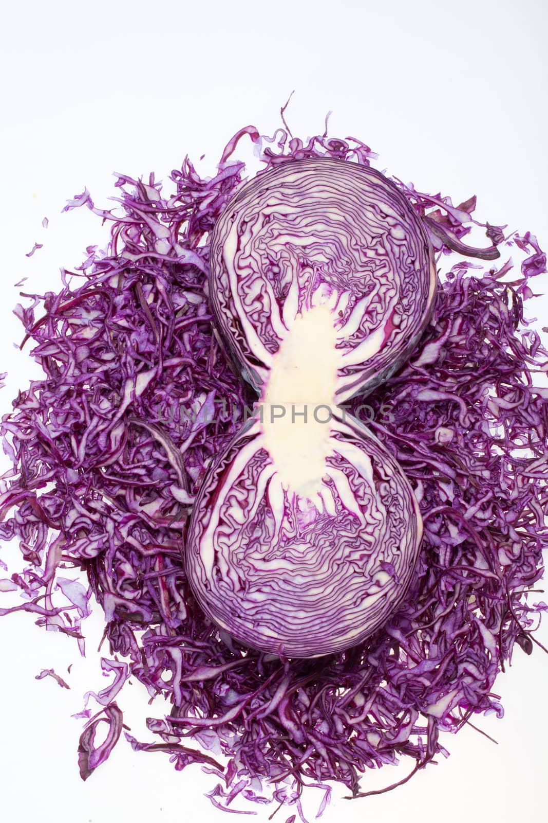  Red  Cabbage  on White Background 