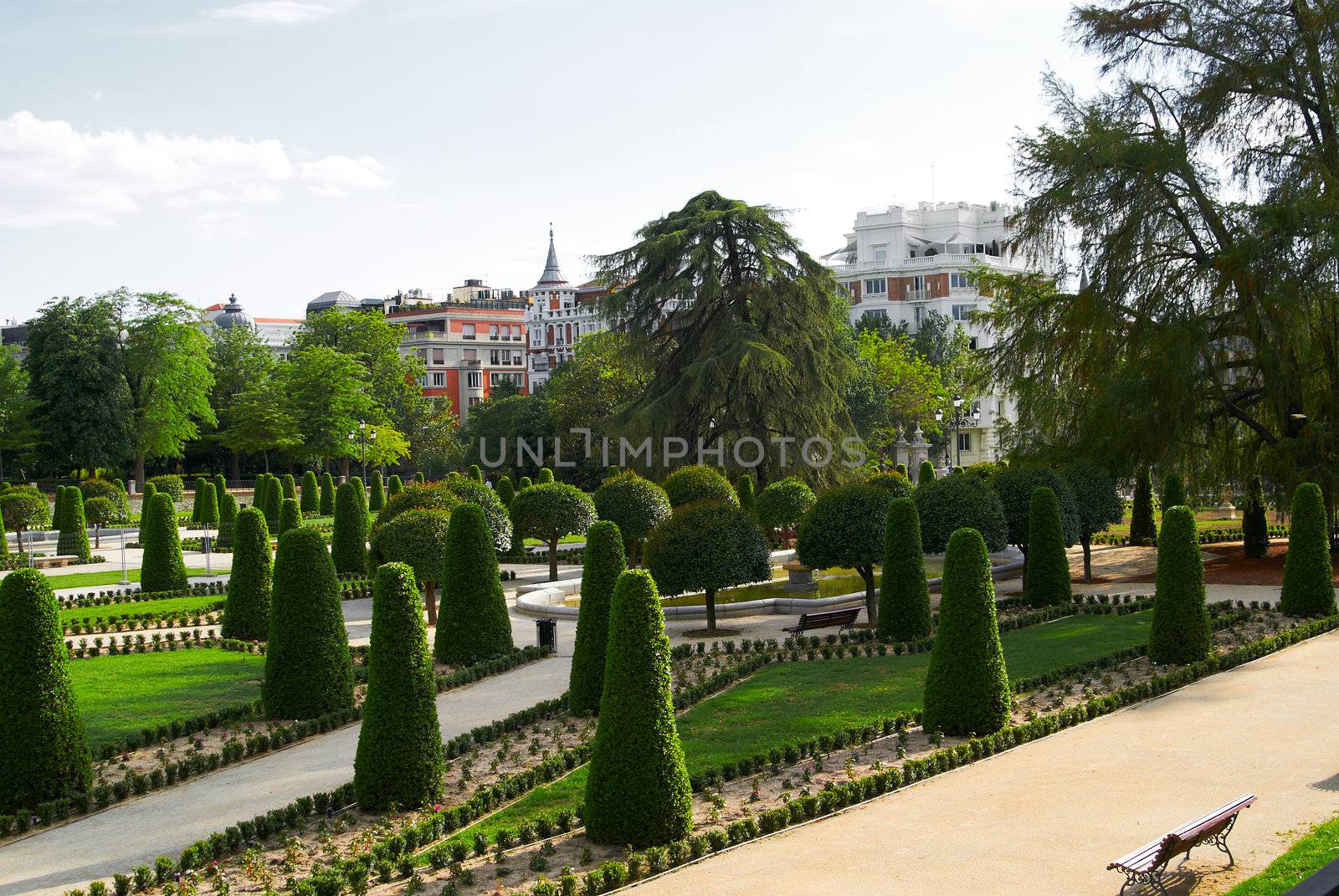 Saved natural parks in Europe trees and statues. Madrid