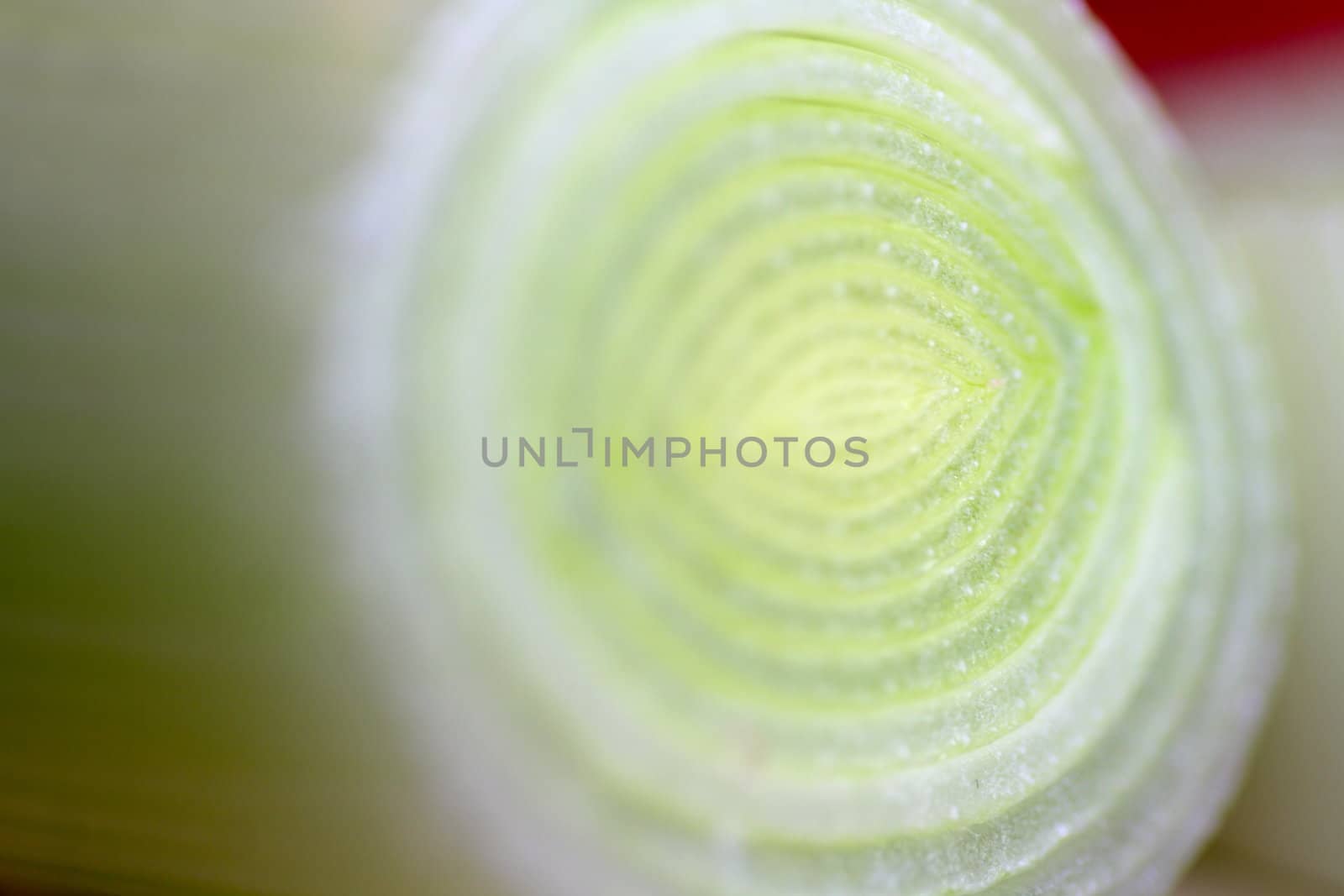 Closeup of a chopped leek on a wooden board in a kitchen