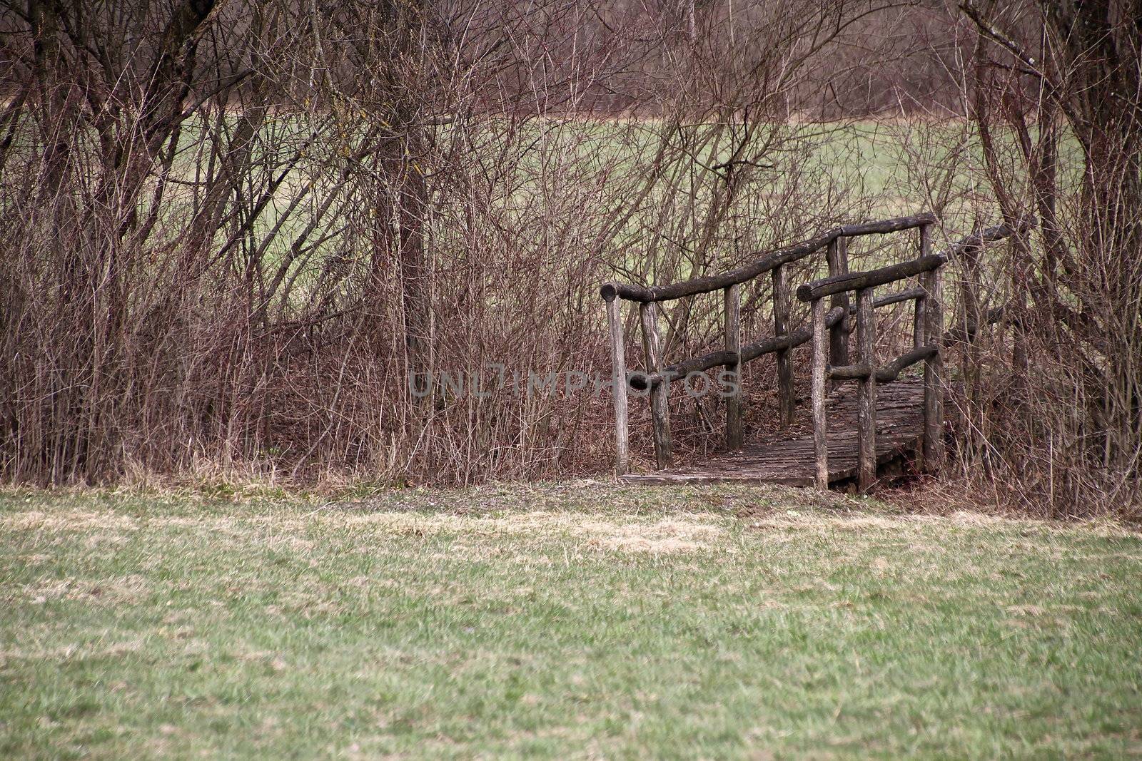 wooden bridge in a forest