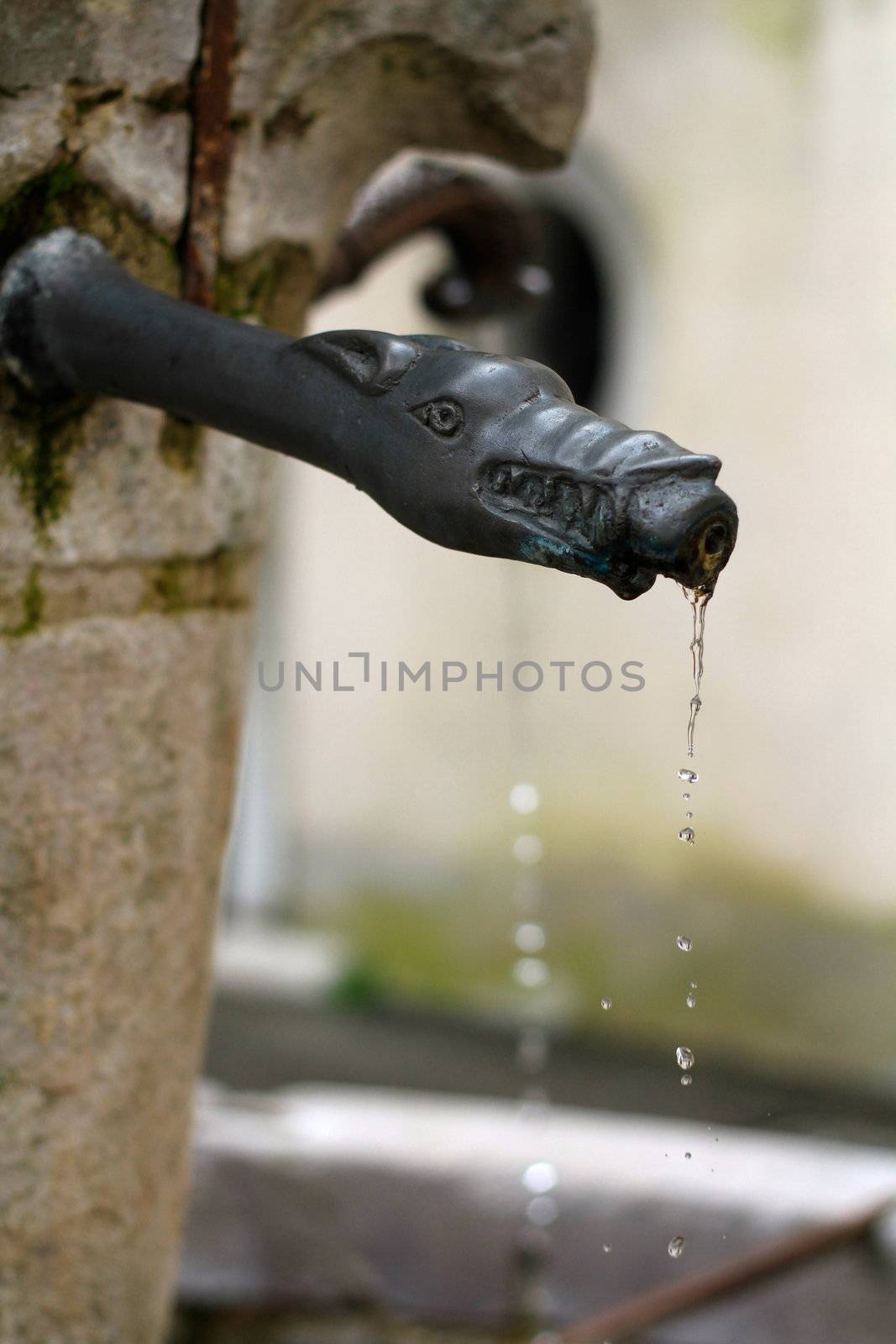 detail of an ancient fountain in Belluno