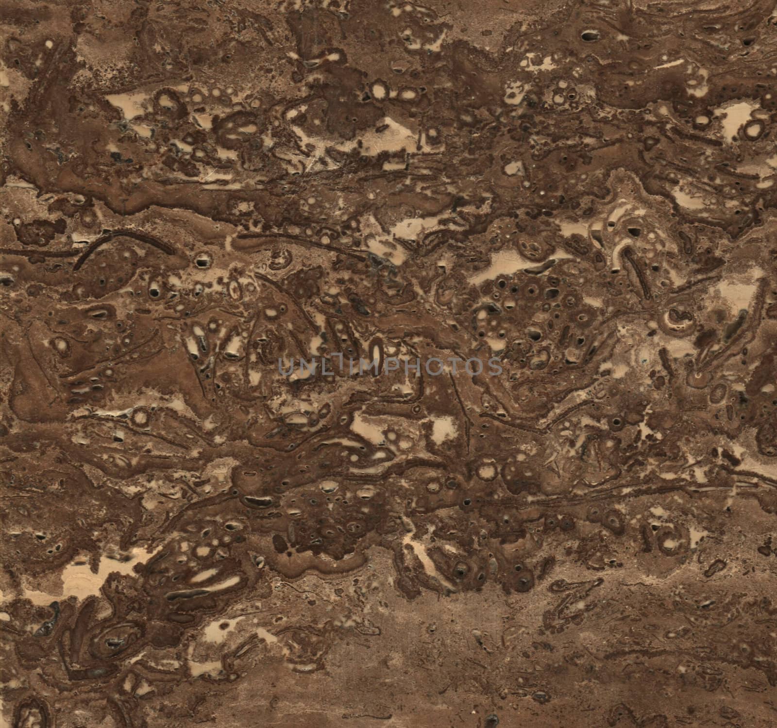 Brown marble texture background (High resolution scan)