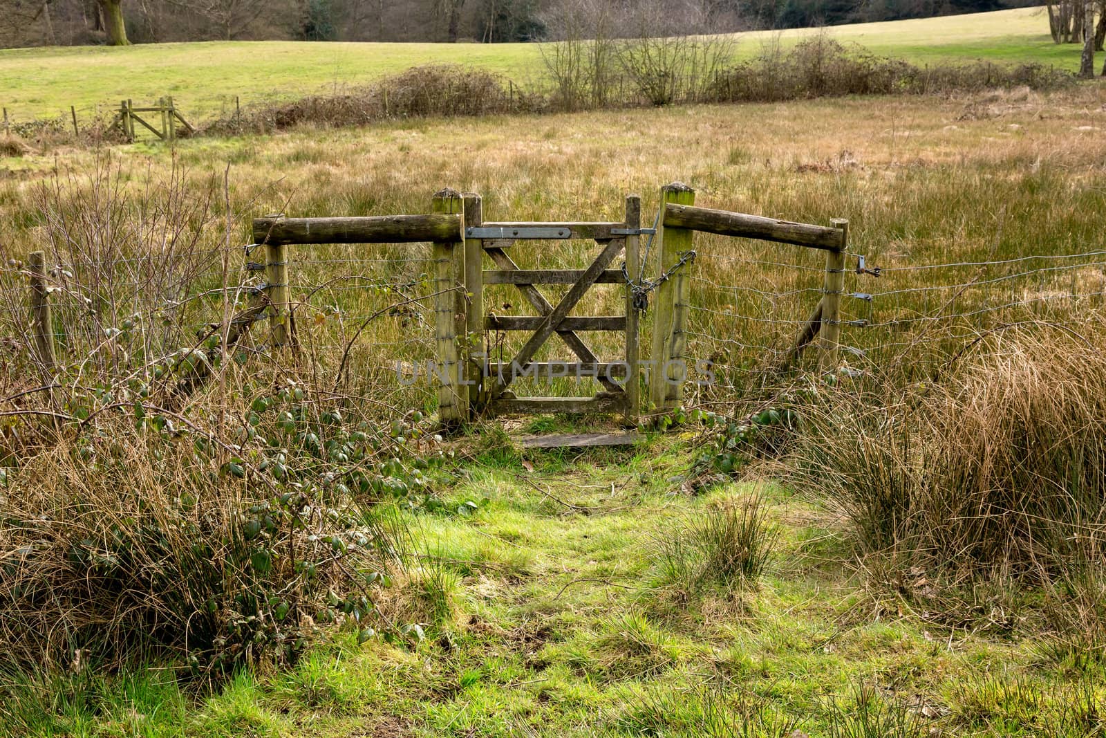 Closed Old Rustic Gate in Green Grassy Countryside on Sunny Day