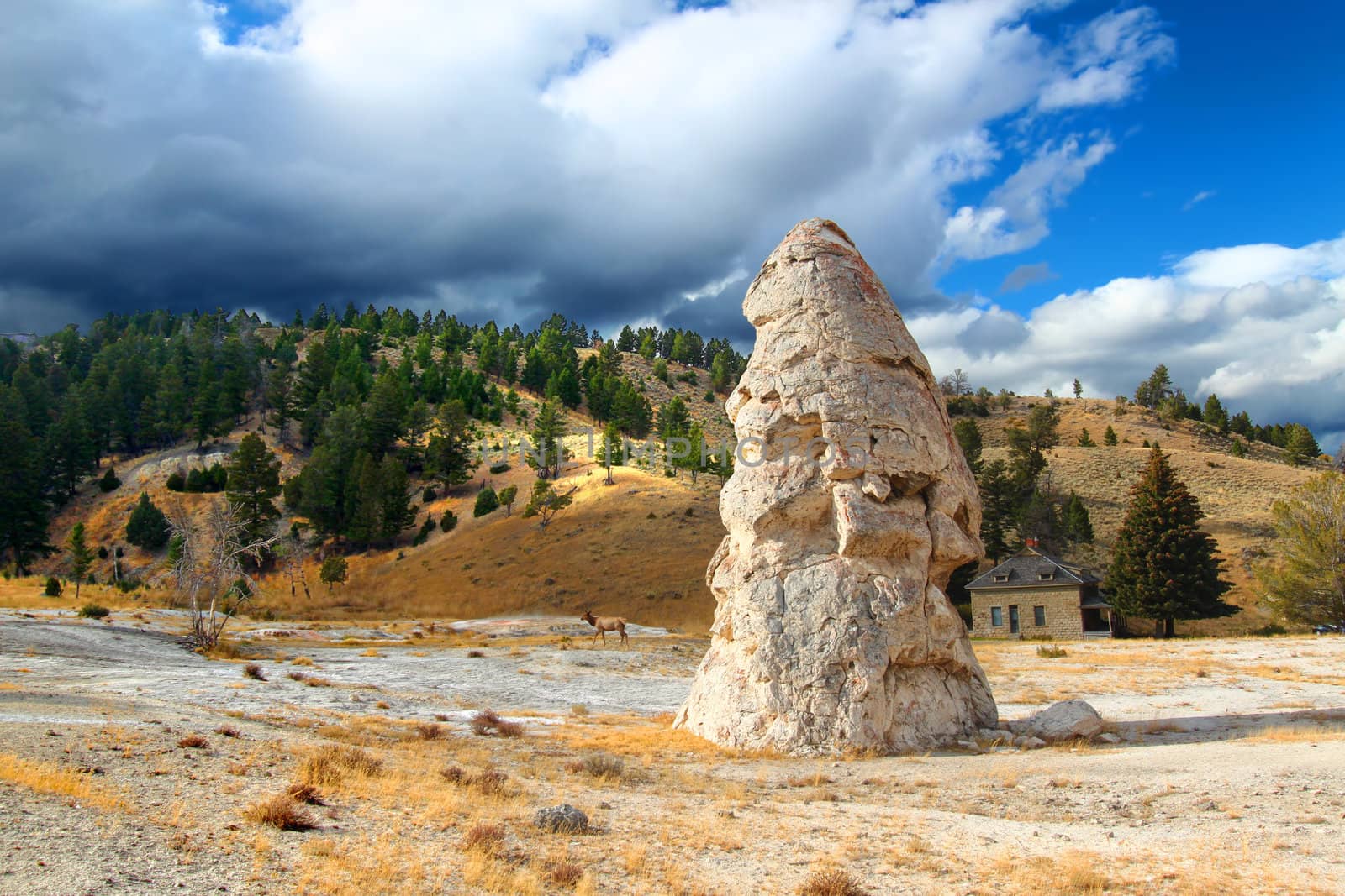 Liberty Cone Yellowstone National Park by Wirepec