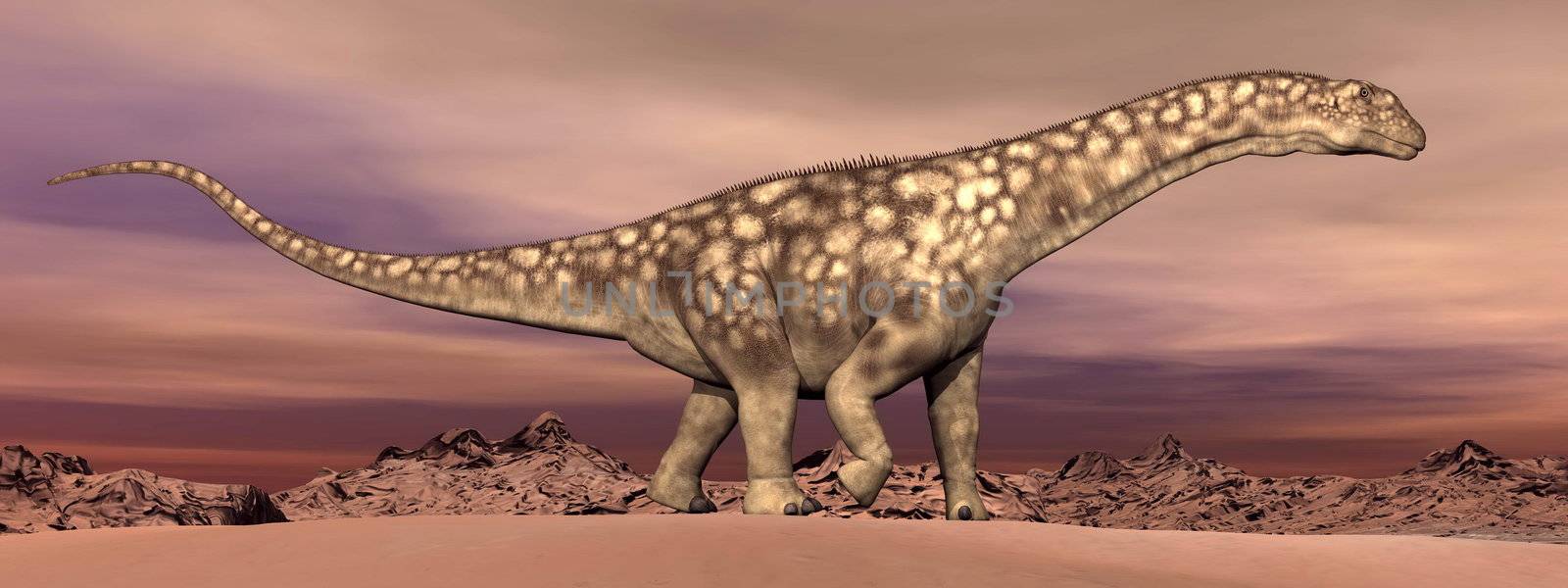Big argentinosaurus dinosaur walking quietly in the desert by dawn