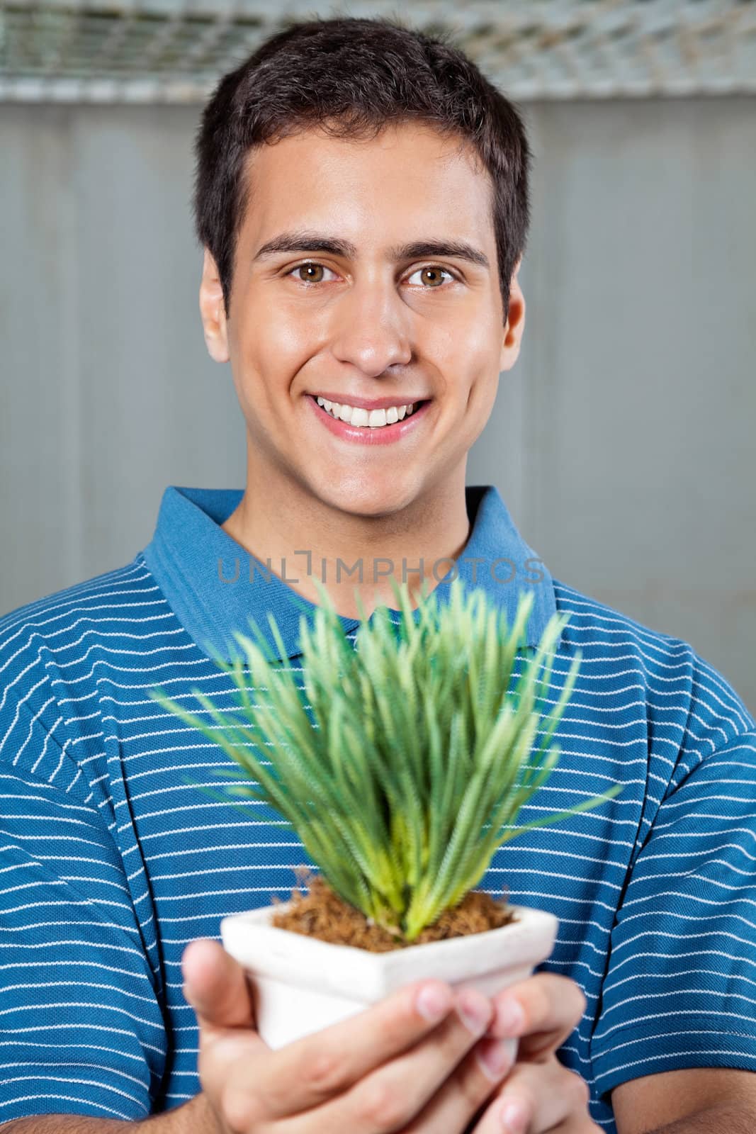 Portrait of handsome young man smiling while holding small plant