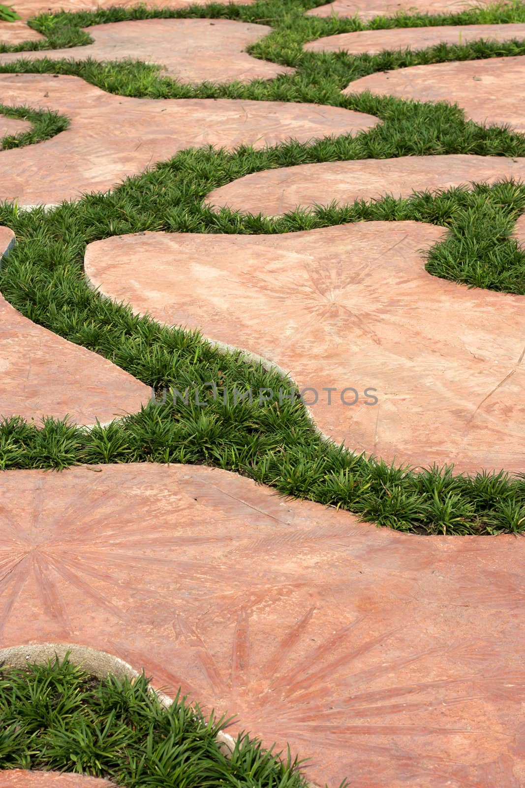 Cement walkways decorated with grass. by janniwet