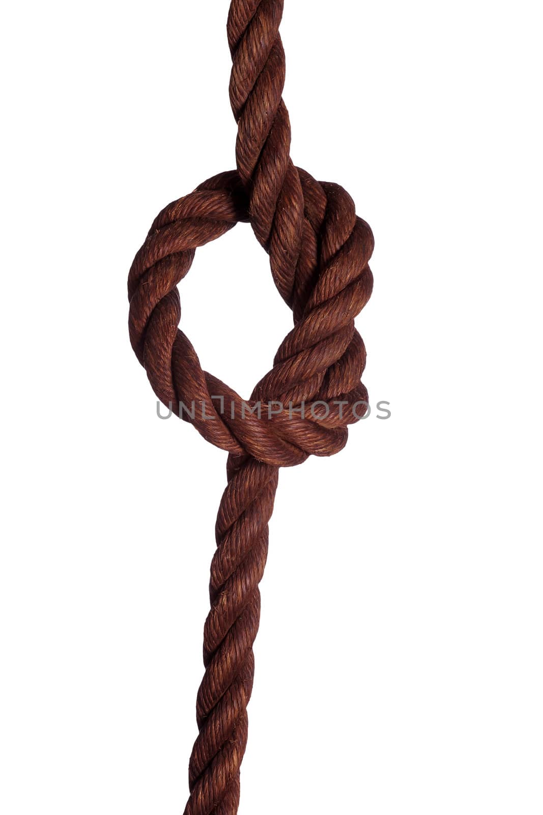 old rope with knot on white