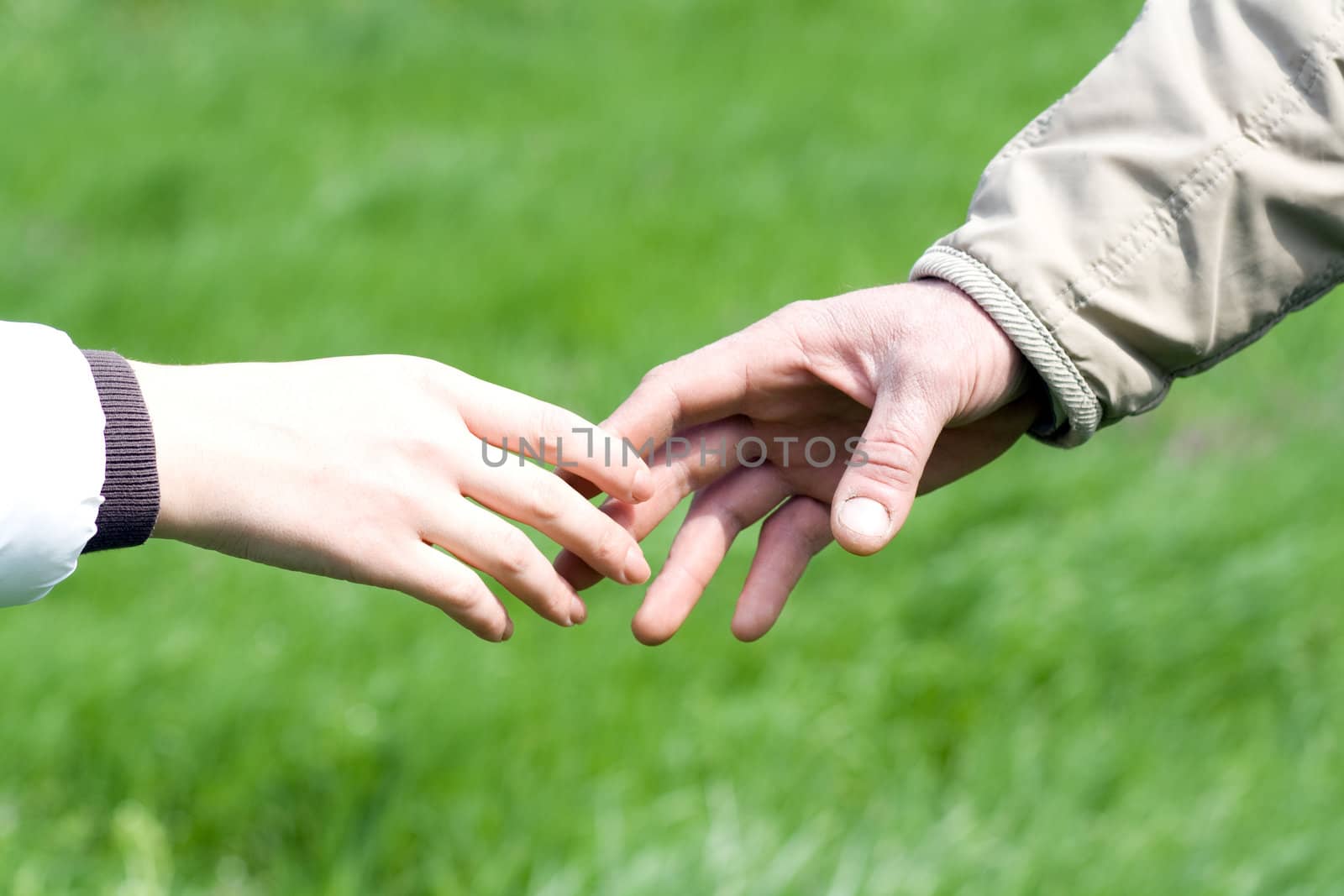 Lovers couple holding hands in a forest (summer/spring)