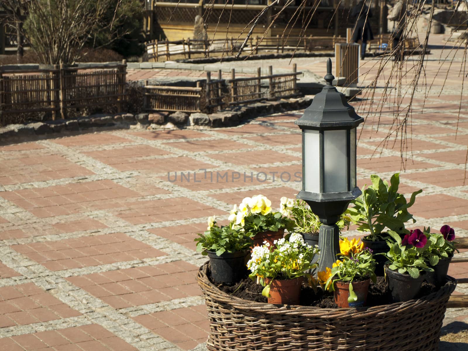 European City Empty Street With Spring Flower Bed