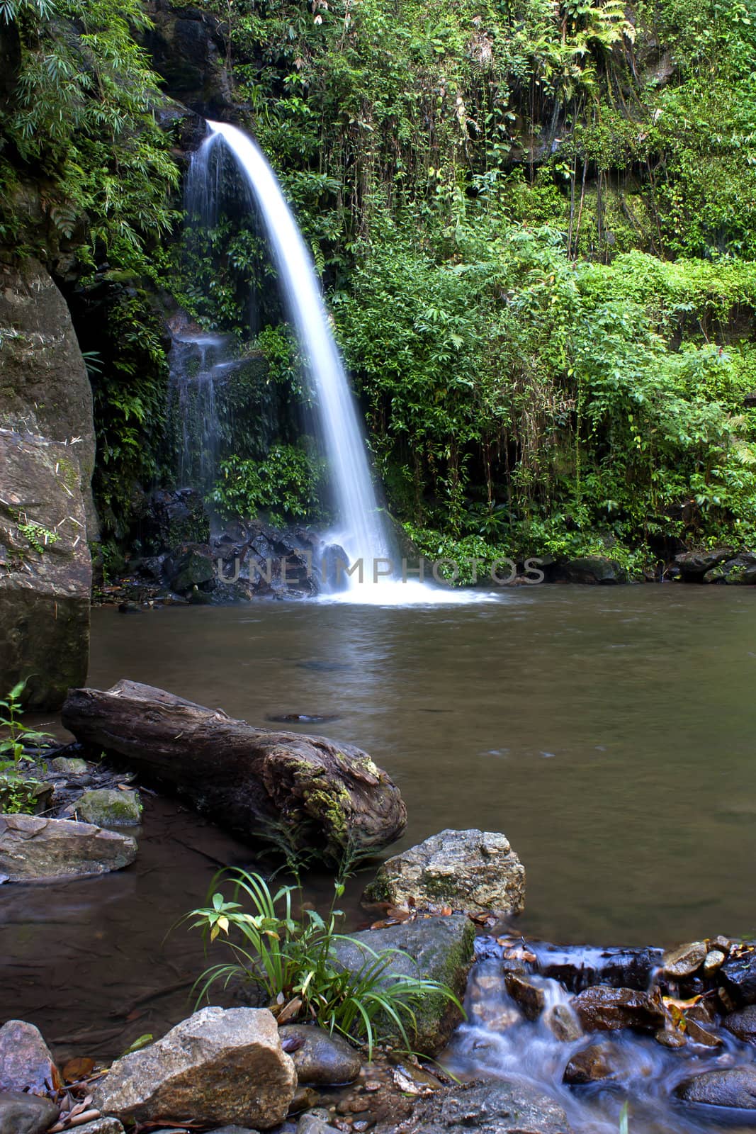 Waterfalls, streams, forests, lush greenery summer. Chiang Mai, Thailand.