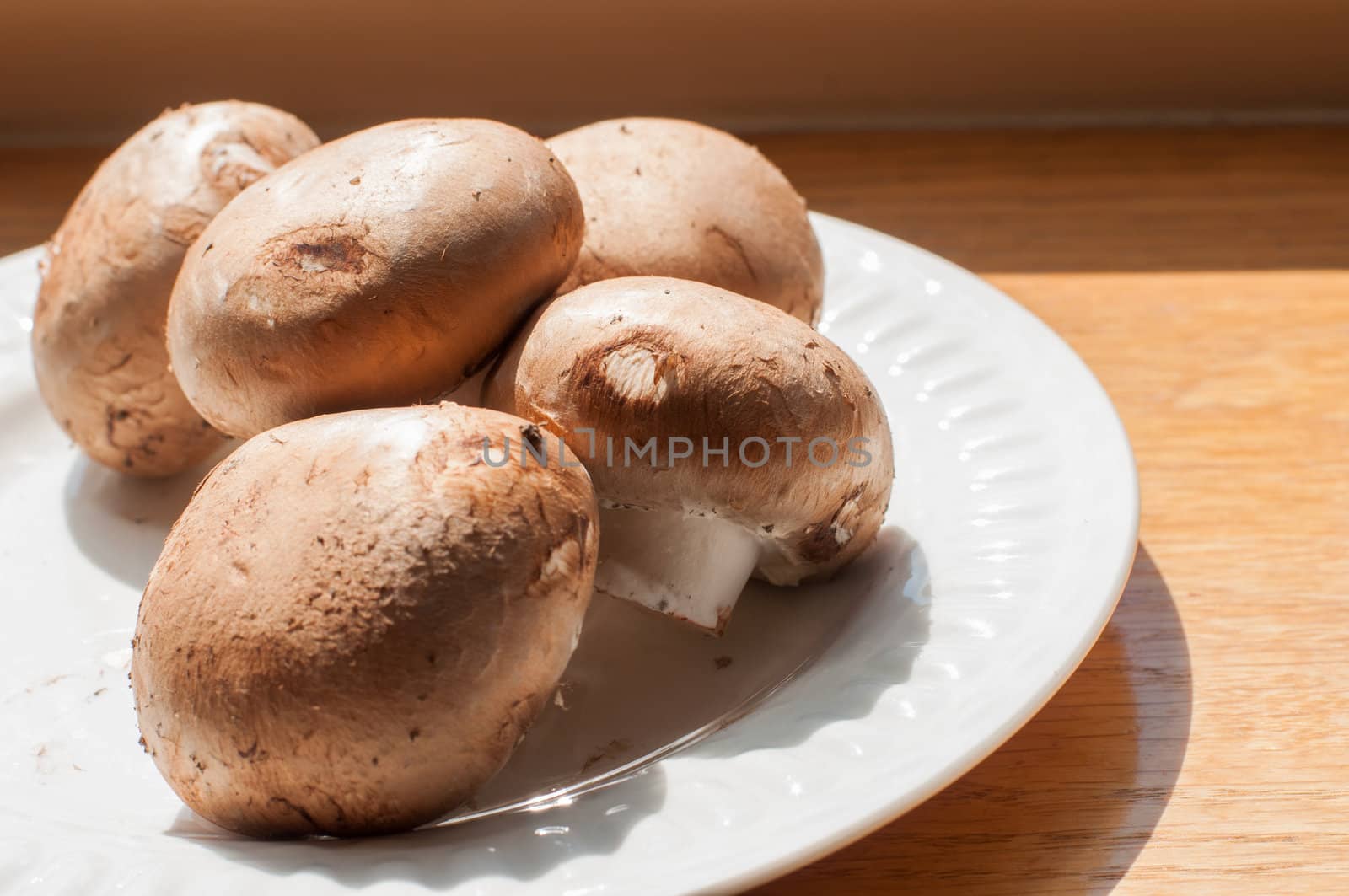 mushroom