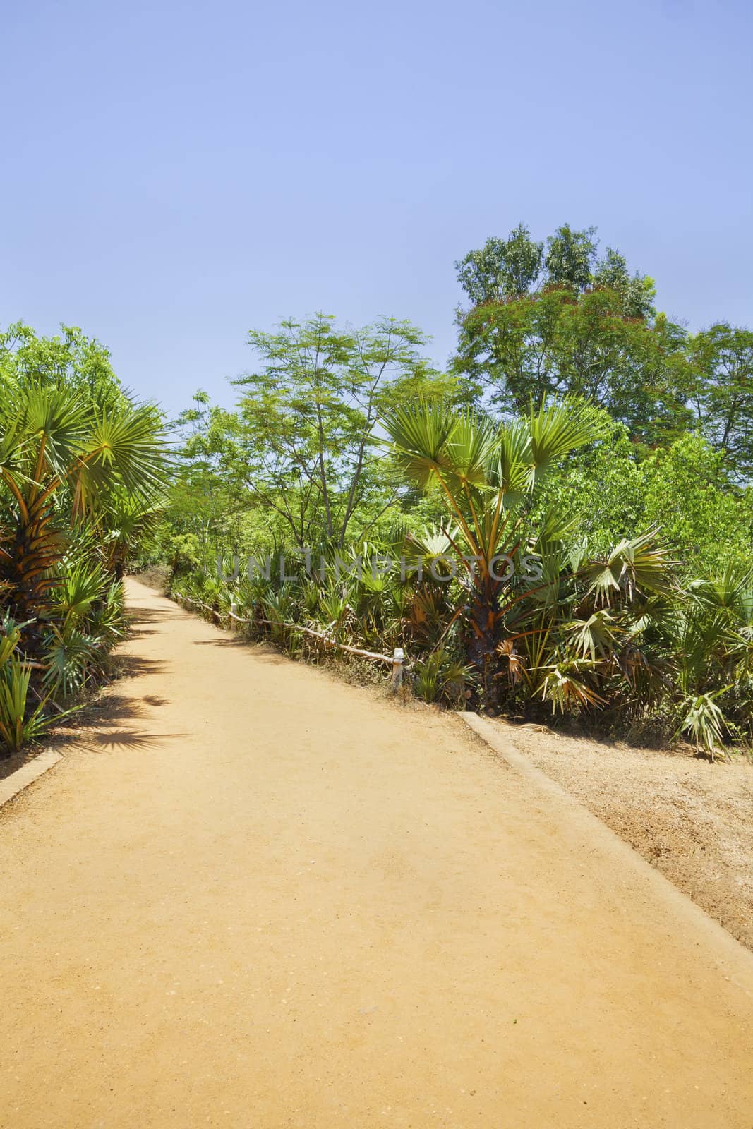 Generic vertical landscape of a red gravel driveway lined with tropical plants at at curve in the road. A small bridge and edged by a bamboo railing. Shot location, Tamil Nada, India