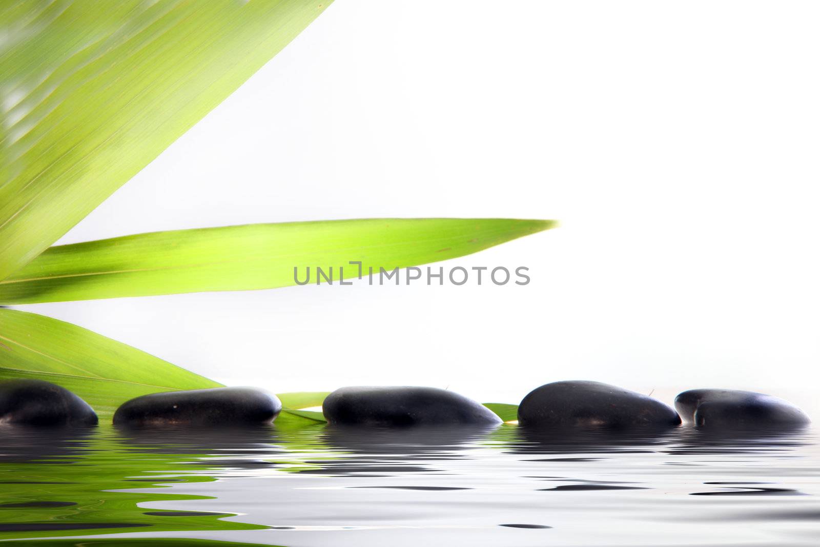 Spa massage stones in water by Farina6000