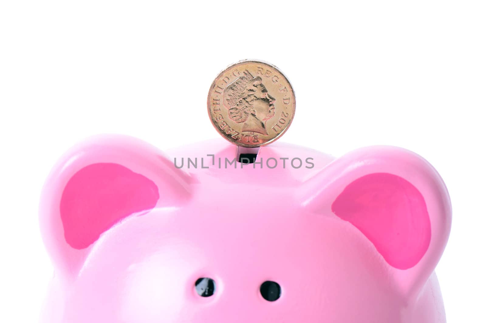 A single pound coin on a piggy bank isolated on white