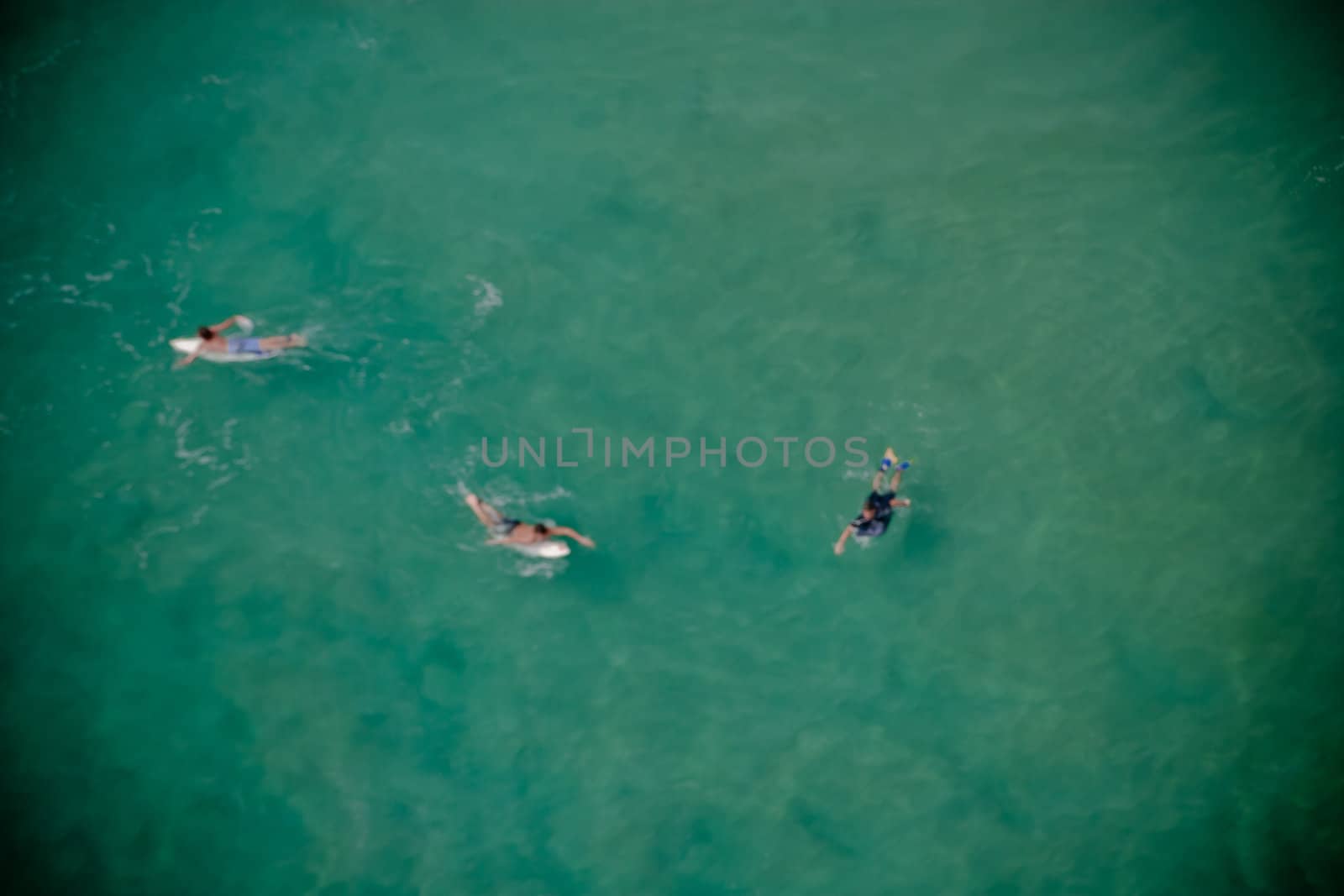 Overhead view of three surfers paddling their boards in the ocean as they wait for the next big wave to come in