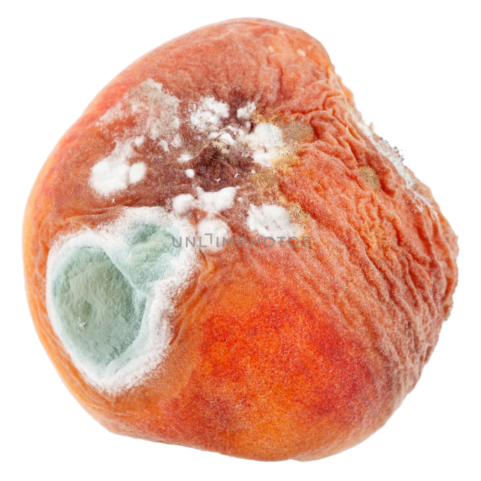 mould on peach  by shebeko