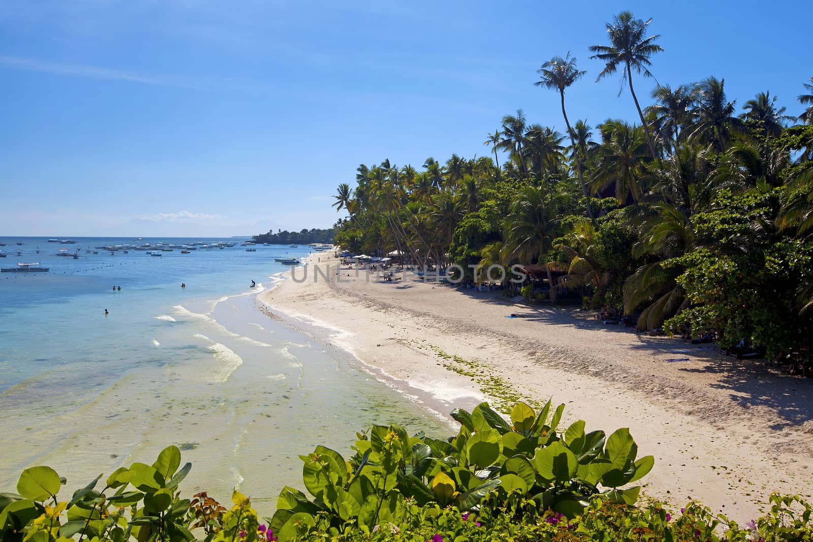 View of the beautiful beach on Panglao Island, Bohol