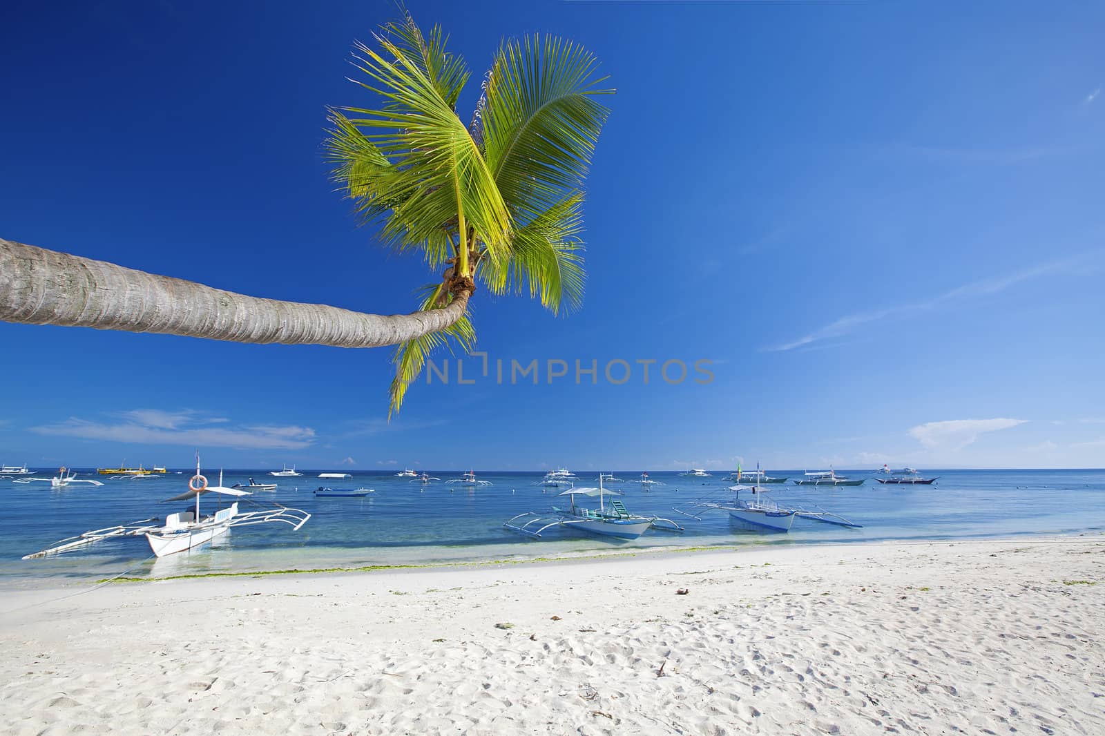 Panglao Island, Bohol by kjorgen