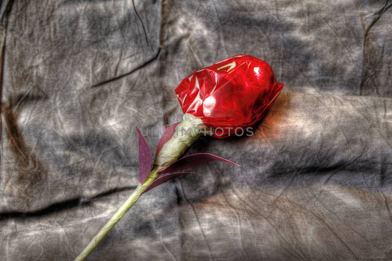 Hand made roses on grey background with petals