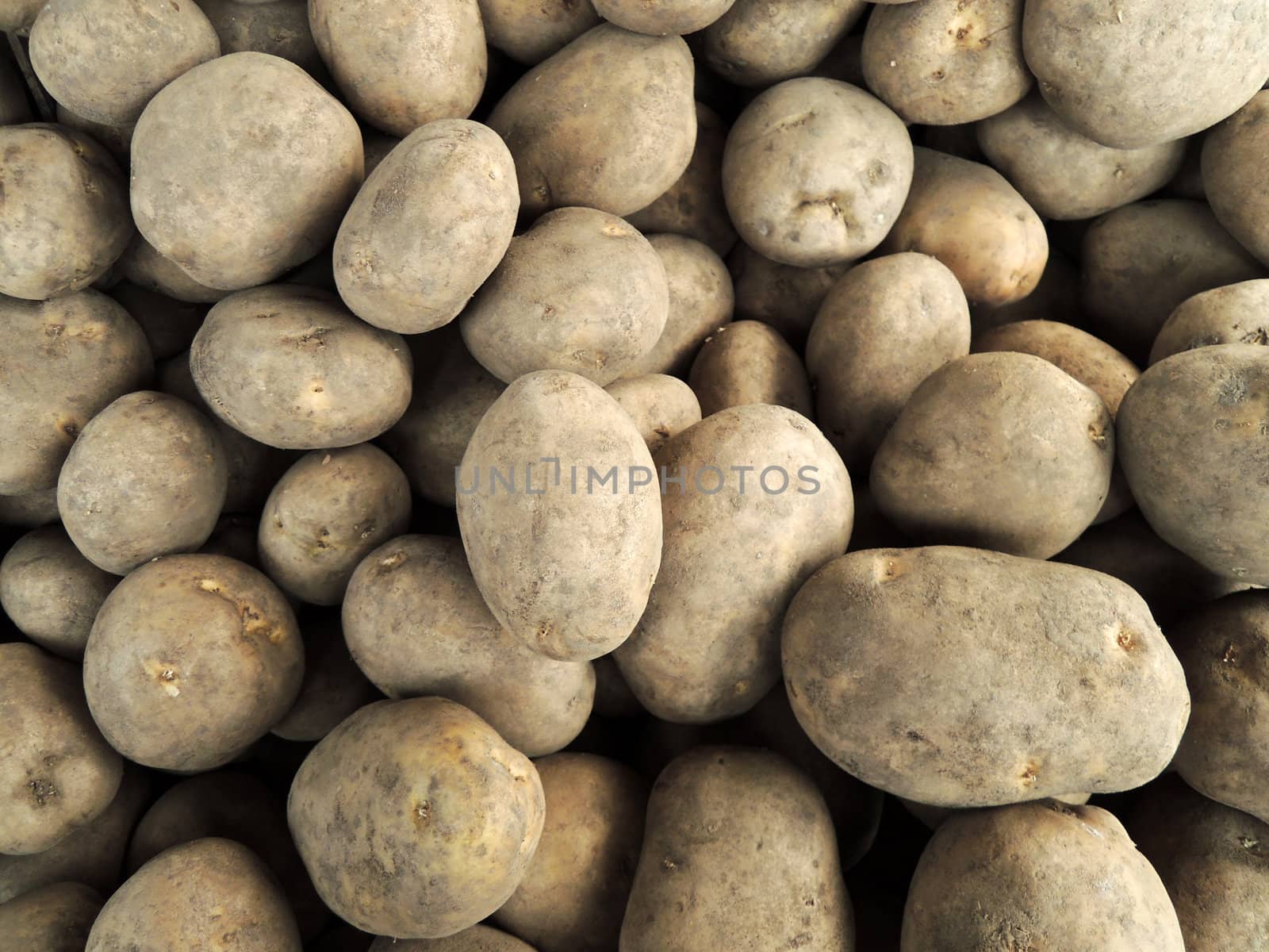 Fresh Potatoes Background by MalyDesigner