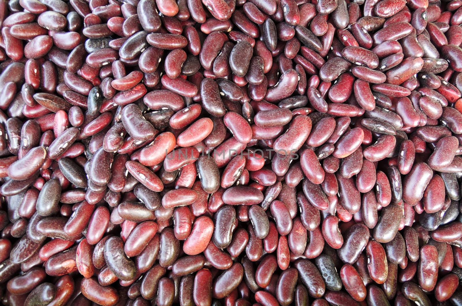 Red beans texture closeup detail