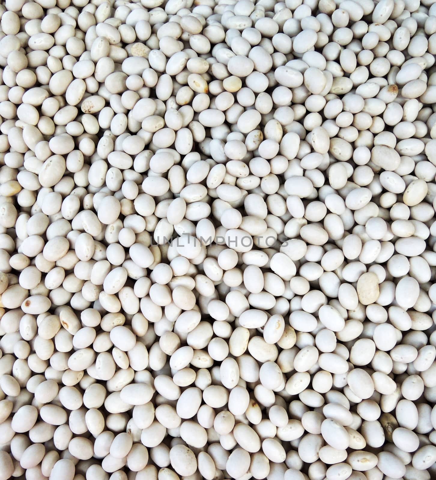 Soy bean background