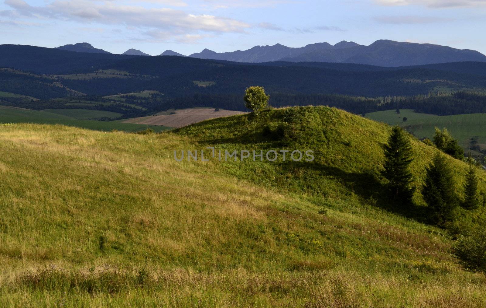 Slovakia still life landscape with meadow in foreground